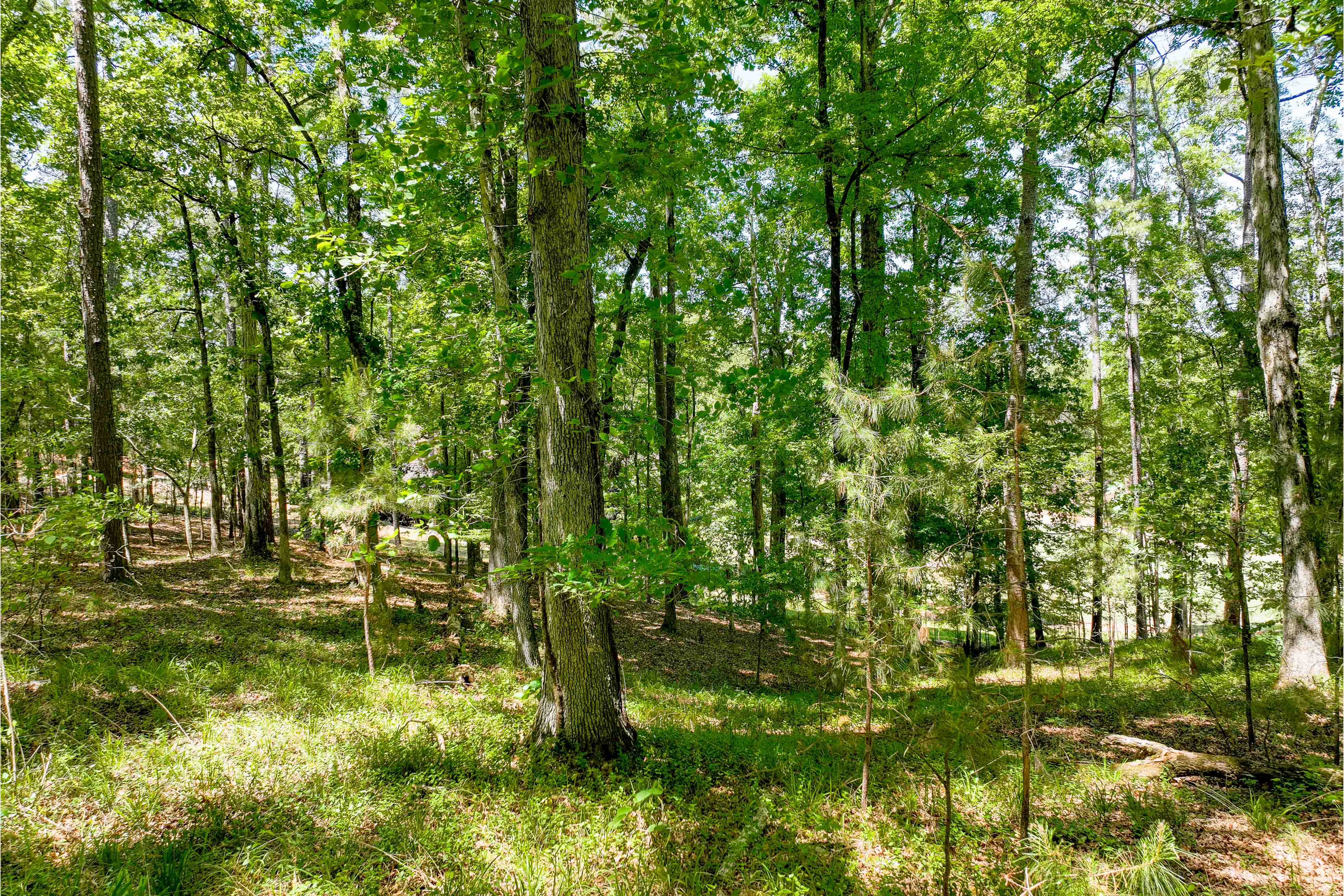 1000 Curtright Place image 5